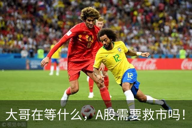 大哥在等什么，A股需要救市吗！